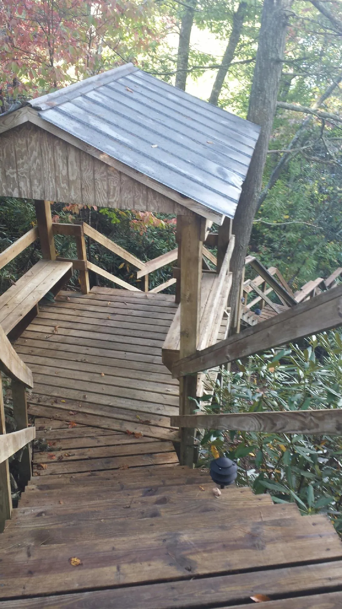 Metal roofed shelter over wooden steps on a wooded walkway — Skylight Repair & Installation work by our crew in Ocklawaha